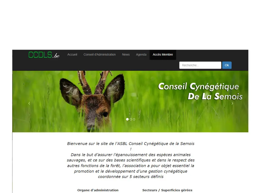 Aperçu du site Internet ccdls.be réalisé par Infopixel